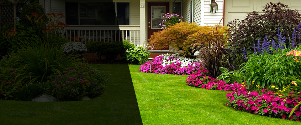 Pine Ridge Landscapers