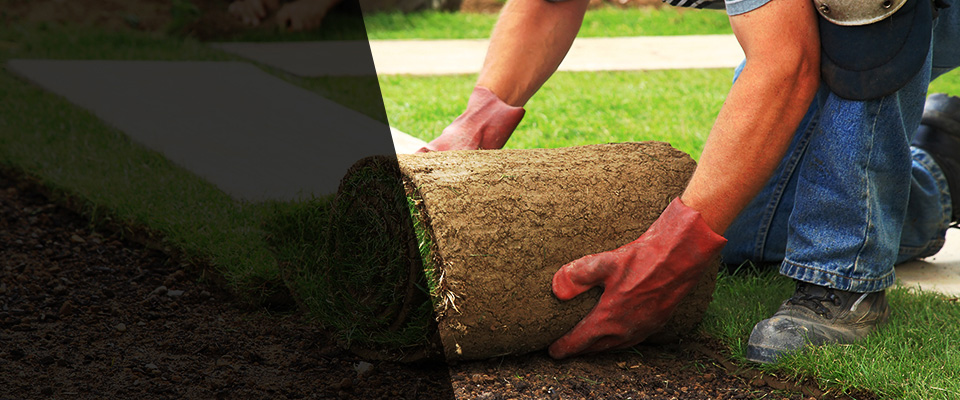Pine Ridge Landscapers